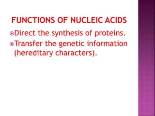 Direct the synthesis of proteins.
Transfer the genetic information
(hereditary characters).
 