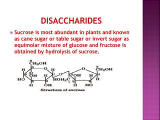  Sucrose is most abundant in plants and known
as cane sugar or table sugar or invert sugar as
equimolar mixture of glucose and fructose is
obtained by hydrolysis of sucrose.
 