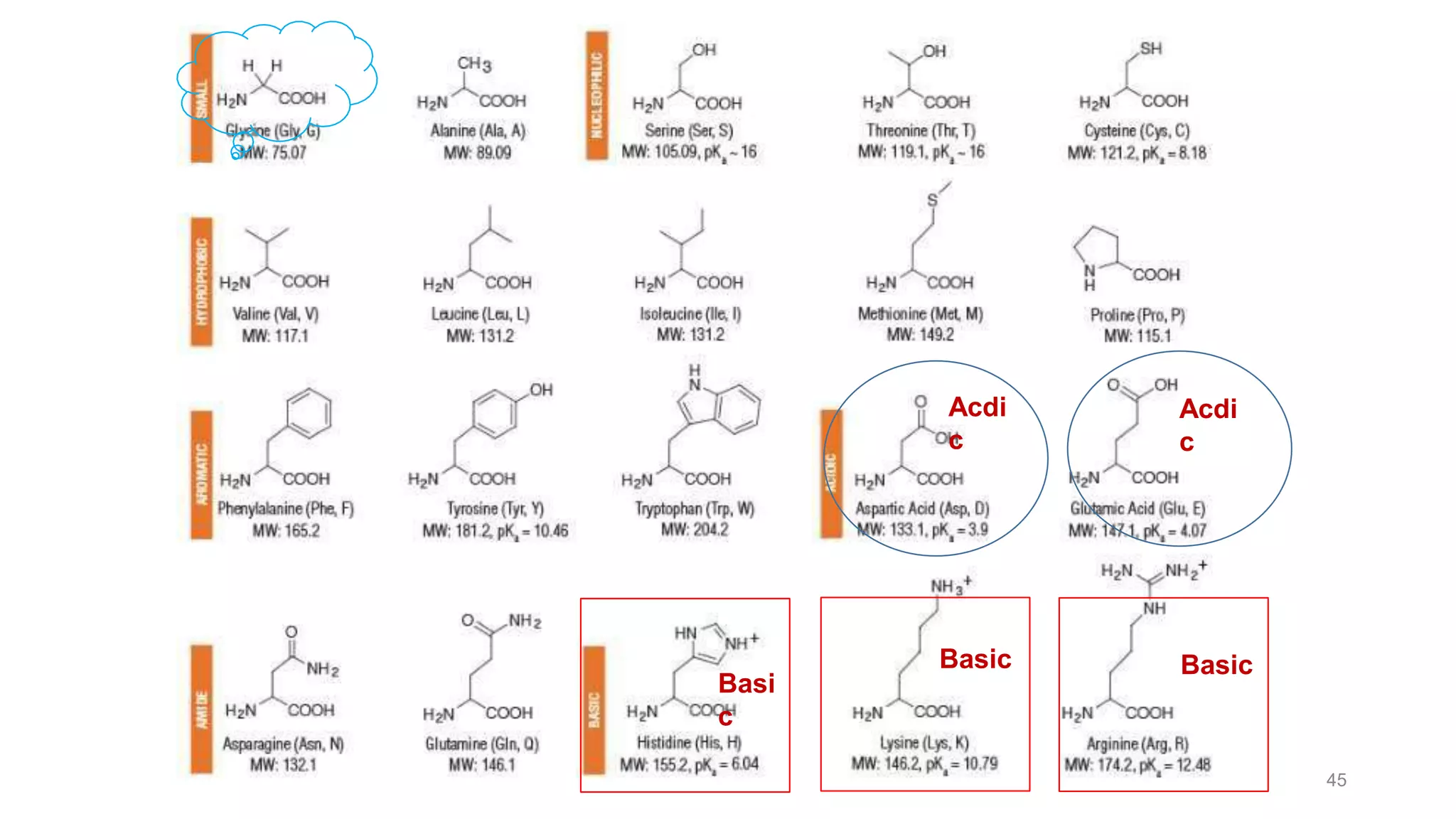 Class Xii Biomolecules Pptx