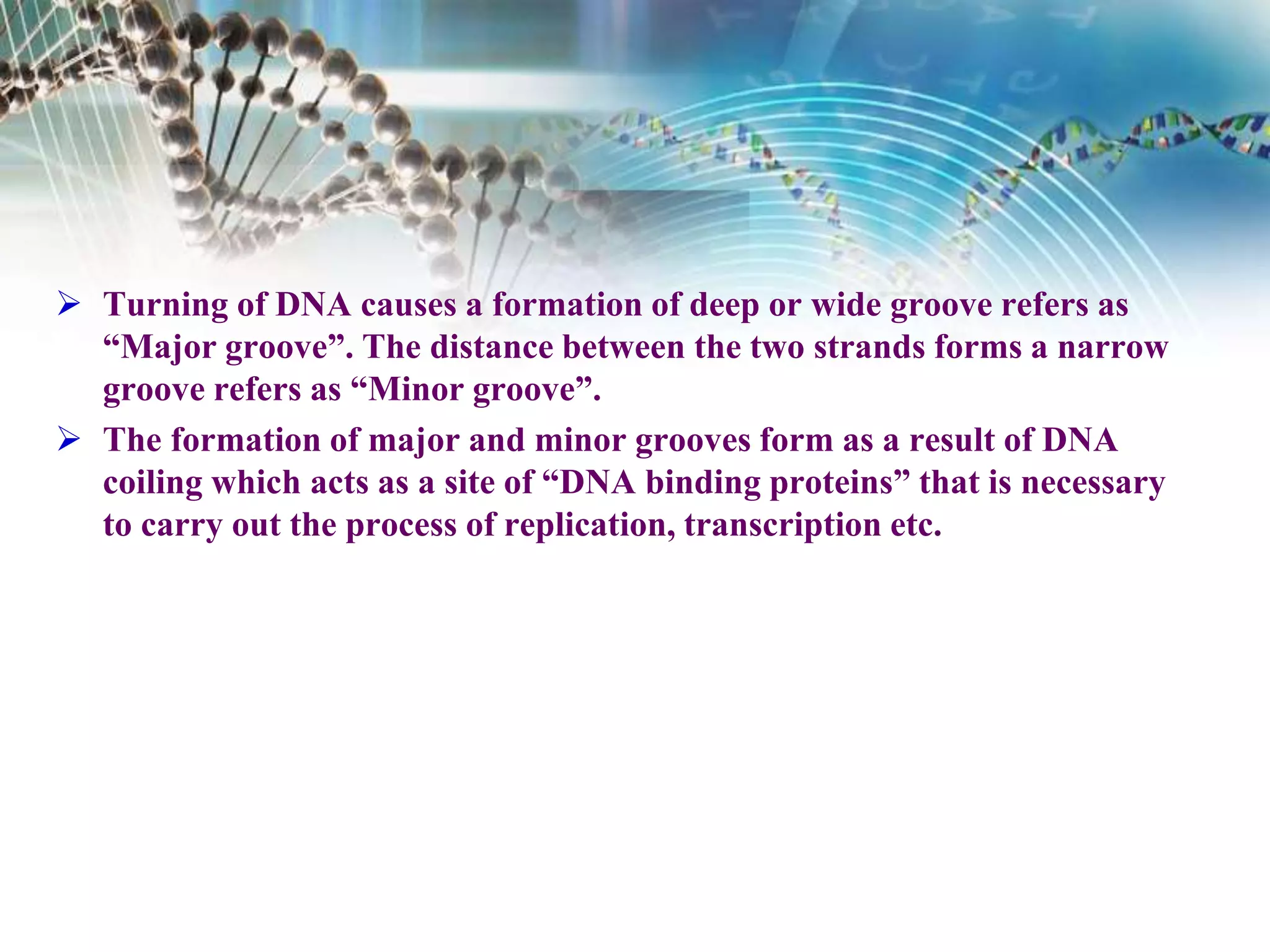  Turning of DNA causes a formation of deep or wide groove refers as
“Major groove”. The distance between the two strands forms a narrow
groove refers as “Minor groove”.
 The formation of major and minor grooves form as a result of DNA
coiling which acts as a site of “DNA binding proteins” that is necessary
to carry out the process of replication, transcription etc.
 