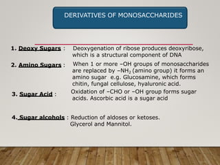DERIVATIVES OF MONOSACCHARIDES
1. Deoxy Sugars :
2. Amino Sugars :
3. Sugar Acid :
Deoxygenation of ribose produces deoxyribose,
which is a structural component of DNA
When 1 or more –OH groups of monosaccharides
are replaced by –NH2 (amino group) it forms an
amino sugar e.g. Glucosamine, which forms
chitin, fungal cellulose, hyaluronic acid.
Oxidation of –CHO or –OH group forms sugar
acids. Ascorbic acid is a sugar acid
4. Sugar alcohols : Reduction of aldoses or ketoses.
Glycerol and Mannitol.
 