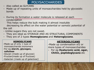 POLYSACCHARIDES
- Also called as GLYCANS
- Made up of repeating units of monsaccharides held by glycosidic
bonds
- During its formation a water molecule is released at each
condensation
This helps reduce the bulk making it almost insoluble
decreasing its effect on the water potential or osmotic potential of
the cell
- Unlike sugars they are not sweet.
- They are ideal as STORAGE AND AS STRUCTURAL COMPONENTS
- They are of 2 types Homoglycans and Heteroglycans.
HOMOGLYCANS
-Made up of only 1 type of
monosaccharide monomers
-For eg starch, glycogen,
cellulose
-Glucan (made up of glucose)
-Fructan(made up of fructose)
-Galactan (made up of galactose)
HETEROGLYCANS
-Made up condensation of2 or
more types of monosaccharides
- For eg Hyaluronic acid, agar,
Chitin, peptidoglycans etc
 