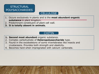 STRUCTURAL
POLYSACCHARIDES
CHITIN
1. Second most abundant organic substance.
2. Complex carbohydrate of Heteropolysaccharide type.
3. Found in the exoskeletons of some invertebrates like insects and
crustaceans. Provides both strength and elasticity.
4. Becomes hard when impregnated with calcium carbonate.
CELLULOSE
1. Occurs exclusively in plants and is the most abundant organic
substance in plant kingdom.
2. Predominant constituent of plant cell wall.
3. It is totally absent in animals.
 