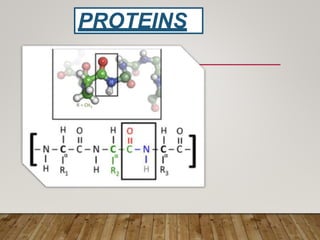 PROTEINS
 