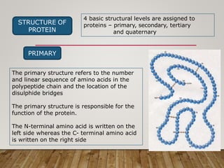 STRUCTURE OF
PROTEIN
4 basic structural levels are assigned to
proteins – primary, secondary, tertiary
and quaternary
PRIMARY
The primary structure refers to the number
and linear sequence of amino acids in the
polypeptide chain and the location of the
disulphide bridges
The primary structure is responsible for the
function of the protein.
The N-terminal amino acid is written on the
left side whereas the C- terminal amino acid
is written on the right side
 