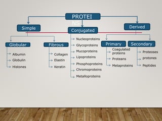 PROTEI
NS
Simple
Conjugated
Derived
Nucleoproteins
Glycoproteins
Mucoproteins
Lipoproteins
Phosphoproteins
Chromoproteins
Metalloproteins
Globular Fibrous
Albumin
Globulin
Histones
Collagen
Elastin
Keratin
Primary Secondary
Coagulated
proteins
Proteans
Metaproteins
Proteoses
protones
Peptides
 