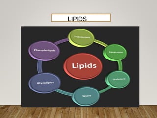 LIPIDS
 