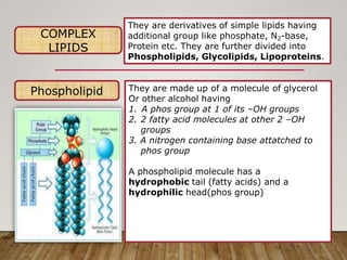 COMPLEX
LIPIDS
They are derivatives of simple lipids having
additional group like phosphate, N2-base,
Protein etc. They are further divided into
Phospholipids, Glycolipids, Lipoproteins.
Phospholipid They are made up of a molecule of glycerol
Or other alcohol having
1. A phos group at 1 of its –OH groups
2. 2 fatty acid molecules at other 2 –OH
groups
3. A nitrogen containing base attatched to
phos group
A phospholipid molecule has a
hydrophobic tail (fatty acids) and a
hydrophilic head(phos group)
 