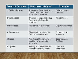 Group of Enzymes Reactions catalysed Examples
1. Oxidoreductases Transfer of O2 or H2 atoms
or electrons from one
substrate to another
Dehydrogenase
Oxidases
2.Transferases Transfer of a specific group
from one substrate to
another
Transaminase
3.Hydrolases Hydrolysis of a substrate Digestive enzymes
4. Isomerases Change of the molecular
form of the substrate
Phospho Hexo
isomerase
5.Lyases Non hydrolytic removal or
addition of a group to a
substrate
Decarboxylase
Aldolase
6. Ligases Joining of 2 molecules by
formation of new bonds
Citric acid
synthetase
 