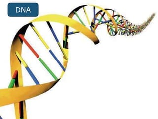 dr.aarif
DNA
 