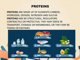 PROTEINS
PROTEINS ARE MADE UP OF ELEMENTS CARBON,
HYDROGEN, OXYGEN, NITROGEN AND SULFUR.
PROTEINS MAY BE STRUCTURAL, REGULATORY,
CONTRACTILE OR PROTECTIVE; THEY MAY SERVE IN
TRANSPORT, STORAGE OR MEMBRANES; OR THEY MAY BE
TOXINS OR ENZYMES.
 