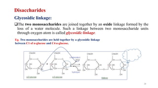 Disaccharides
Glycosidic linkage:
The two monosaccharides are joined together by an oxide linkage formed by the
loss of a water molecule. Such a linkage between two monosaccharide units
through oxygen atom is called glycosidic linkage.
Eg. Two monosaccharides are held together by a glycosidic linkage
between C1 of α-glucose and C4 α-glucose.
28
 