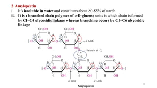 2.Amylopectin
i. It’s insoluble in water and constitutes about 80-85% of starch.
ii. It is a branched chain polymer of α-D-glucose units in which chain is formed
by C1–C4 glycosidic linkage whereas branching occurs by C1–C6 glycosidic
linkage
36
 