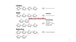 polysaccharides
40
 