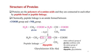 Structure of Proteins
 Proteins are the polymers of α-amino acids and they are connected to each other
by peptide bond or peptide linkage.
 Chemically, peptide linkage is an amide formed between
–COOH group and --NH2 group.
when carboxyl group of
glycine combines with
the amino group of
alanine we get a
dipeptide, glycylalanine.
51
glycine alanine
dipeptide
 
