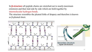 In β-structure all peptide chains are stretched out to nearly maximum
extension and then laid side by side which are held together by
intermolecular hydrogen bonds.
The structure resembles the pleated folds of drapery and therefore is known
as β-pleated sheet.
57
 