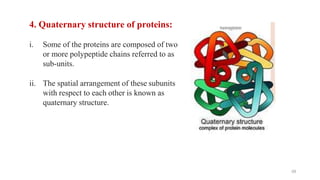 4. Quaternary structure of proteins:
i. Some of the proteins are composed of two
or more polypeptide chains referred to as
sub-units.
ii. The spatial arrangement of these subunits
with respect to each other is known as
quaternary structure.
59
 