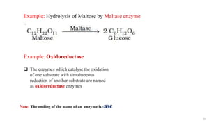 Example: Hydrolysis of Maltose by Maltase enzyme
Example: Oxidoreductase
 The enzymes which catalyse the oxidation
of one substrate with simultaneous
reduction of another substrate are named
as oxidoreductase enzymes
Note: The ending of the name of an enzyme is -ase
64
 