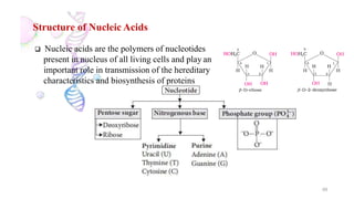 Structure of Nucleic Acids
 Nucleic acids are the polymers of nucleotides
present in nucleus of all living cells and play an
important role in transmission of the hereditary
characteristics and biosynthesis of proteins
69
 