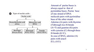 Amount of purine bases is
always equal to that of
pyrimidine bases. Purine base
of one strand of DNA
molecule pairs with pyrimidine
base of the other strand.
Adenine (A) pairs with thymine
(T)through two H-bonds
(A=T) and guanine (G) pairs
with cytosine (C) through three
H-bonds (G=C).
In case of RNA, adenine (A)
pairs with uracil
(U), (AU).
72
 