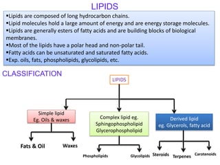 Lipids are composed of long hydrocarbon chains.
Lipid molecules hold a large amount of energy and are energy storage molecules.
Lipids are generally esters of fatty acids and are building blocks of biological
membranes.
Most of the lipids have a polar head and non-polar tail.
Fatty acids can be unsaturated and saturated fatty acids.
Exp. oils, fats, phospholipids, glycolipids, etc.
LIPIDS
CLASSIFICATION
LIPIDS
Simple lipid
Eg. Oils & waxes Complex lipid eg.
Sphingophospholipid
Glycerophospholipid
Derived lipid
eg. Glycerols, fatty acid
Fats & Oil Waxes
Phospholipids Glycolipids Steroids Terpenes Carotenoids
 