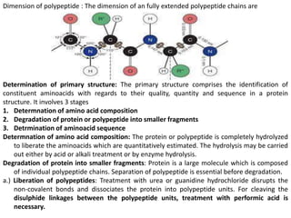 Dimension of polypeptide : The dimension of an fully extended polypeptide chains are
Determination of primary structure: The primary structure comprises the identification of
constituent aminoacids with regards to their quality, quantity and sequence in a protein
structure. It involves 3 stages
1. Determnation of amino acid composition
2. Degradation of protein or polypeptide into smaller fragments
3. Detrmination of aminoacid sequence
Determnation of amino acid composition: The protein or polypeptide is completely hydrolyzed
to liberate the aminoacids which are quantitatively estimated. The hydrolysis may be carried
out either by acid or alkali treatment or by enzyme hydrolysis.
Degradation of protein into smaller fragments: Protein is a large molecule which is composed
of individual polypeptide chains. Separation of polypeptide is essential before degradation.
a.) Liberation of polypeptides: Treatment with urea or guanidine hydrochloride disrupts the
non-covalent bonds and dissociates the protein into polypeptide units. For cleaving the
disulphide linkages between the polypeptide units, treatment with performic acid is
necessary.
 