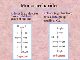 Monosaccharides
Aldoses (e.g., glucose)
have an aldehyde
group at one end.
Ketoses (e.g., fructose)
have a keto group,
usually at C2.
6
 
