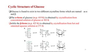 Cyclic Structure of Glucose
❑Glucose is found to exist in two different crystalline forms which are named as α
and β.
❑The α-form of glucose (m.p. 419 K) is obtained by crystallisation from
concentrated solution of glucose at 303 K
❑while the β-form (m.p. 423 K) is obtained by crystallisation from hot and
saturated aqueous solution at 371 K
22
 