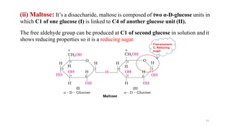 (ii) Maltose: It’s a disaccharide, maltose is composed of two α-D-glucose units in
which C1 of one glucose (I) is linked to C4 of another glucose unit (II).
The free aldehyde group can be produced at C1 of second glucose in solution and it
shows reducing properties so it is a reducing sugar.
Free anomeric
C, Reducing
sugar
31
 