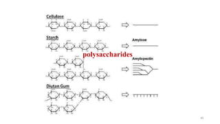 polysaccharides
40
 