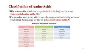 Classification of AminoAcids
❑The amino acids, which can be synthesised in the body, are known as
Nonessential amino acids. (11)
❑On the other hand, those which cannot be synthesised in the body and must
be obtained through diet, are known as Essential amino acids.(9)
47
 