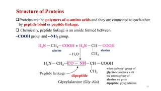 Structure of Proteins
❑Proteins are the polymers of α-amino acids and they are connected to each other
by peptide bond or peptide linkage.
❑ Chemically, peptide linkage is an amide formed between
–COOH group and --NH2 group.
when carboxyl group of
glycine combines with
the amino group of
alanine we get a
dipeptide, glycylalanine.
51
glycine alanine
dipeptide
 