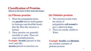 53
Classification of Proteins
(Based on the basis of their molecularshape)
(a) Fibrous proteins
1. When the polypeptide chains
run parallel and are held together
by hydrogen and disulfide bonds,
then the fiber-like structure is
formed.
2. These proteins are generally
insoluble in water. These are
water-insoluble proteins.
Example: keratin (present in hair,
wool, and silk)
myosin (present in muscles), etc.
(b) Globular proteins
1. This structure results when
the chains of
polypeptides coil around to
give a spherical shape.
2. These are usually soluble in
Water.
Example: Insulin and albumins
are common examples of
globular proteins
 