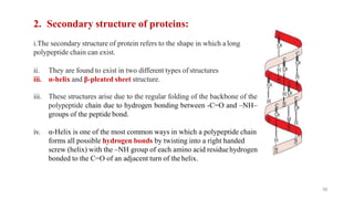 2. Secondary structure of proteins:
i.The secondary structure of protein refers to the shape in which along
polypeptide chain can exist.
ii. They are found to exist in two different types of structures
iii. α-helix and β-pleated sheet structure.
iii. These structures arise due to the regular folding of the backbone of the
polypeptide chain due to hydrogen bonding between -C=O and –NH–
groups of the peptide bond.
iv. α-Helix is one of the most common ways in which a polypeptide chain
forms all possible hydrogen bonds by twisting into a right handed
screw (helix) with the –NH group of each amino acid residuehydrogen
bonded to the C=O of an adjacent turn of the helix.
56
 