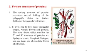 3. Tertiary structure of proteins:
i. The tertiary structure of proteins
represents
polypeptide
overall
chains
folding of the
i.e., further
folding of the secondary structure.
ii. It gives rise to two major molecular
shapes. Namely, fibrous and globular.
The main forces which stabilise the
2° and 3° structures of proteins are
hydrogen bonds, disulphide linkages,
van der Waals and electrostatic forces
of attraction.
58
 