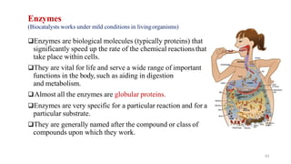 Enzymes
(Biocatalysts works under mild conditions in livingorganisms)
❑Enzymes are biological molecules (typically proteins) that
significantly speed up the rate of the chemical reactionsthat
take place within cells.
❑They are vital for life and serve a wide range of important
functions in the body, such as aiding in digestion
and metabolism.
❑Almost all the enzymes are globular proteins.
❑Enzymes are very specific for a particular reaction and for a
particular substrate.
❑They are generally named after the compound or class of
compounds upon which they work.
63
 