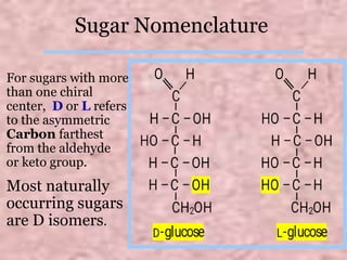 Sugar Nomenclature
For sugars with more
than one chiral
center, D or L refers
to the asymmetric
Carbon farthest
from the aldehyde
or keto group.
Most naturally
occurring sugars
are D isomers.
 