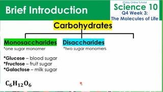 BIOMOLECULES_physical science presentation.pdf