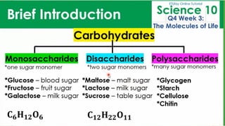 BIOMOLECULES_physical science presentation.pdf