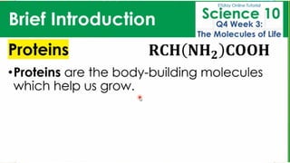 BIOMOLECULES_physical science presentation.pdf