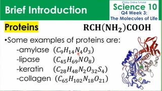 BIOMOLECULES_physical science presentation.pdf