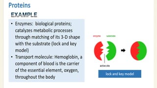 BIOMOLECULES_physical science presentation.pdf
