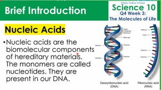 BIOMOLECULES_physical science presentation.pdf