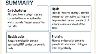 BIOMOLECULES_physical science presentation.pdf
