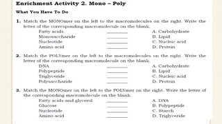 BIOMOLECULES_physical science presentation.pdf