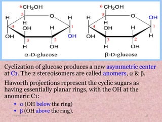 Carbohydrates - the carbohydrates are optically active polyhydroxy ...