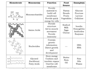 Comprehensive Overview of Biomolecules: Structure, Function, and Types ...