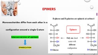 Epimerization Examples Biomolecules ; CARBOHYDRATES | PDF