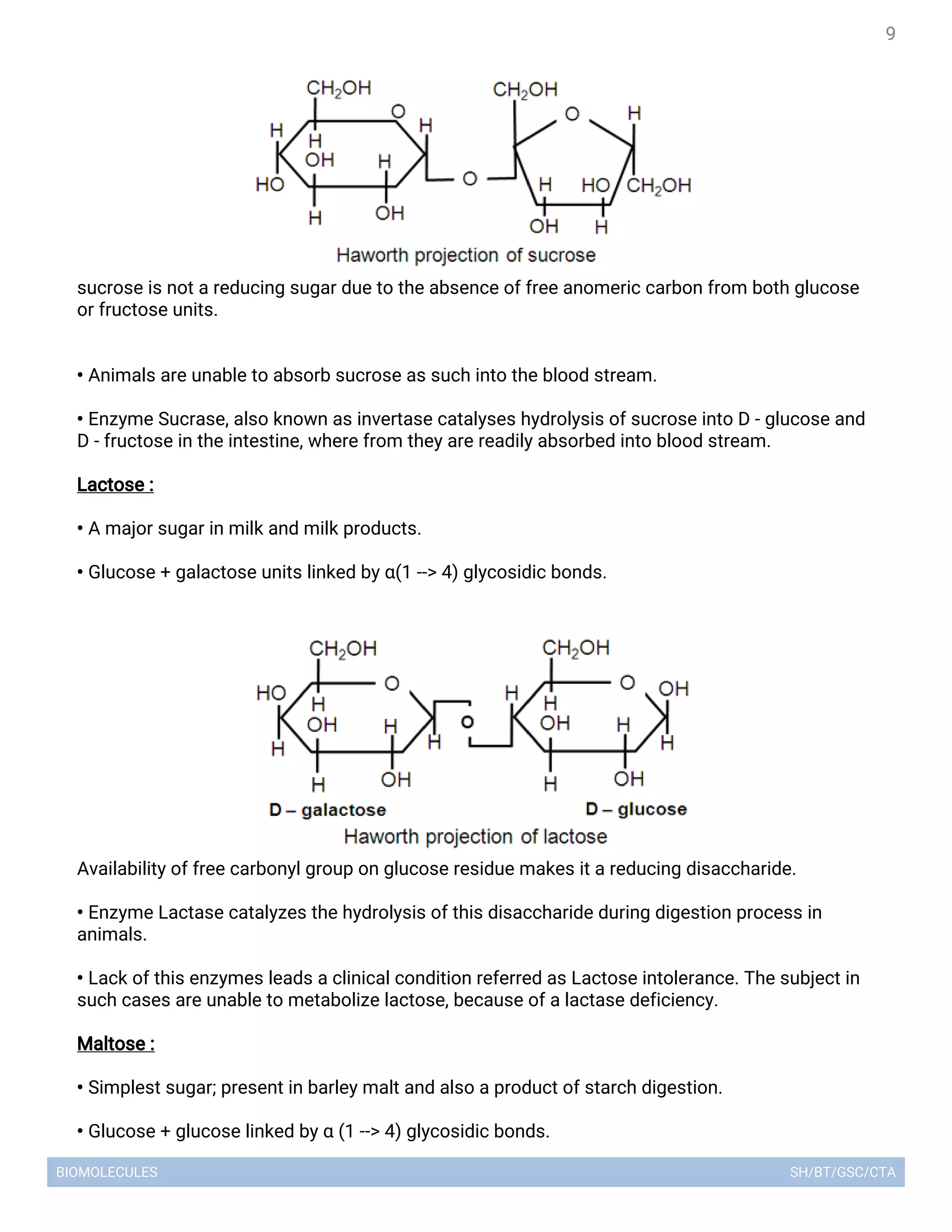 Biomolecules lecture notes | PDF