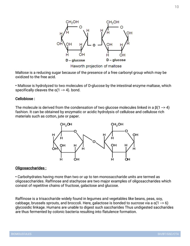 Biomolecules lecture notes | PDF